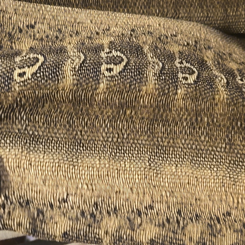 Alberto Makali Python Printed Pants - image 2